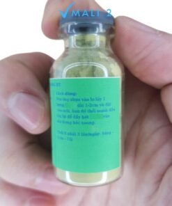 Thổi xoang bt, 100% thành phần tự nhiên 1 lọ thổi mũi bt có sẵn 1 dây thổi MaLi 17 a777