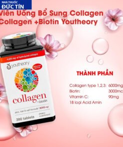 colagen3