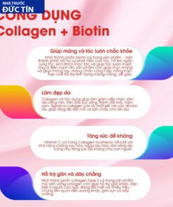 colagen6