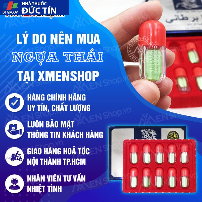 Ngựa Thái Phiên Bản Hộp Giấy Cao Cấp 33 ngua thai phien ban hop giay cao cap 05png