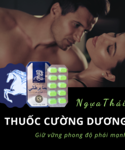 thuoc cuong duong ngua thai chinh hang mua o dau ha noi 700x700 1