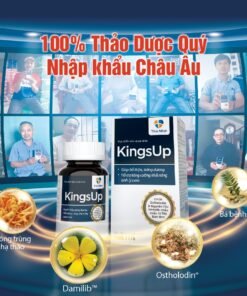 Alternative view of Tăng Cường Sinh Lý Nam KingsUp Thái Minh,Thảo Dược Tăng Cường Sinh Lí Nam An Toàn, Bền Vững Hộp 30v&80v