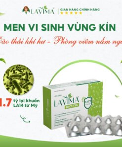lavima3