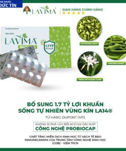 lavima5