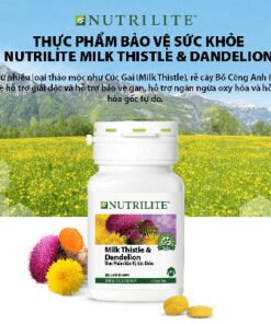 loi ich cua nutrilite milk thistle dandelion