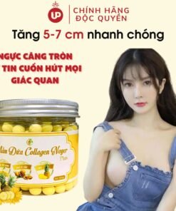 Viên uống nở ngực săn chắc tăng nhanh, viên mầm nở ngực, viên mầm tăng size vòng 1,viên mầm dứa Collagen Noyer - One Up