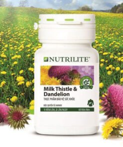 nutrilite milk thistle dandelion la gi