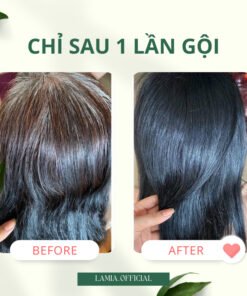 DẦU GỘI PHỦ BẠC LACO ORGANIC NANO NHANH HIỆU QUẢ CHỈ SAU 9 PHÚT ( CHÍNH HÃNG ) 16 phubac6