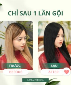 DẦU GỘI PHỦ BẠC LACO ORGANIC NANO NHANH HIỆU QUẢ CHỈ SAU 9 PHÚT ( CHÍNH HÃNG ) 17 phubac7