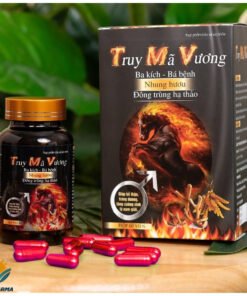 Truy Mã Vương,Hỗ trợ tăng cường sinh lý nam, bổ thận tráng dương, ngăn xuất tinh sớm (60 viên)