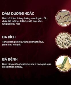 Alternative view of Hỗ Trợ Tăng Sinh Lý Nam Bổ Thận Tráng Dương Khang Thận Đơn Dân Khang