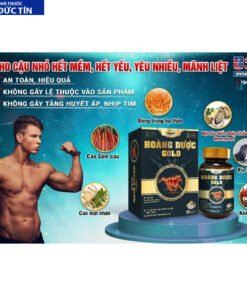 Tăng cường sinh lý nam Hoàng Dược Gold - Hàng chính hãng 14 hoangduoc6
