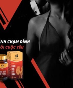 Khang Dược Nam Vương Cordy E G'FNM Tăng Cường Sinh Lý Nam Giới 25 Viên 16 khangduoc7