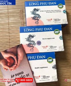longphudan2