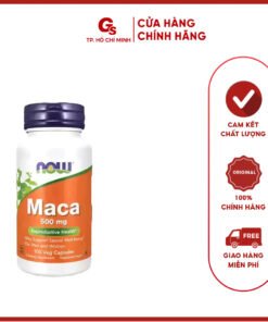 Viên uống Now Maca 500mg Reproductive Health nhập khẩu Mỹ - Gymstore hỗ trợ sinh lý nam nữ