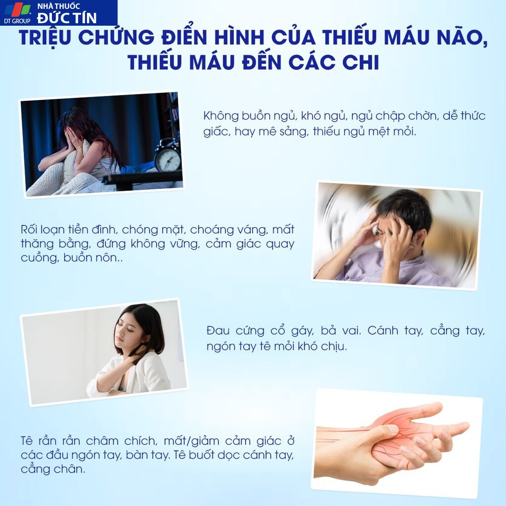 Viên Nén Hoạt Huyết - Nhất Nhất 3, Tăng Cường Lưu Thông Máu, Giảm Mất Ngủ, Chóng Mặt, Đau Mỏi Vai gáy, Tê Bì Tay Chân 22 nennhatnha2