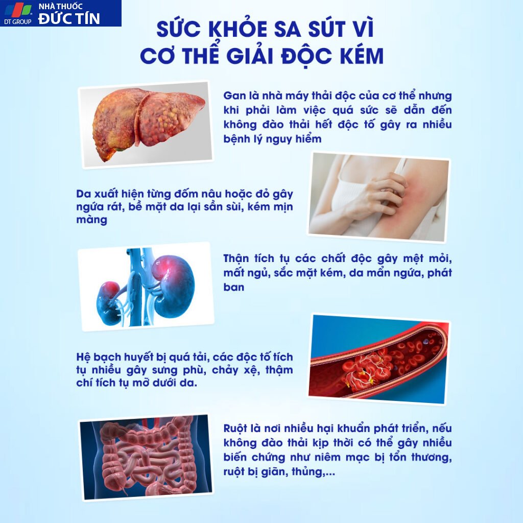 Thanh Nhiệt Giải Độc Toàn Thân - Nhất Nhất 9 - Hỗ Trợ Tăng Chức Năng Gan, bổ thận, dưỡng tim, lọc máu, giảm mỡ trong máu 20 nhatnhat2