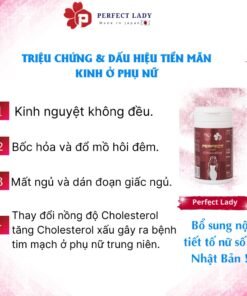 Alternative view of Viên uống Perfect Lady Nhật Bản tăng cường nội tiết tố nữ giúp chị em lưu giữ thanh xuân (1/lọ 60 viên)