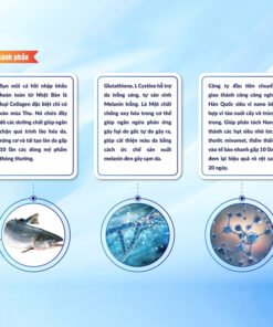 Viên uống Damian - Dưỡng trắng, làm mờ thâm nám, tàn nhang giúp da sáng bóng sau 30 ngày 15 trangda6