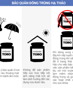 Đông trùng hạ thảo Toro - Sấy thăng hoa nguyên sợi cải thiện chức năng sinh lý - Hũ 10g 18 7 187b263a5ffe4a61ab007c47f2ea6ed0