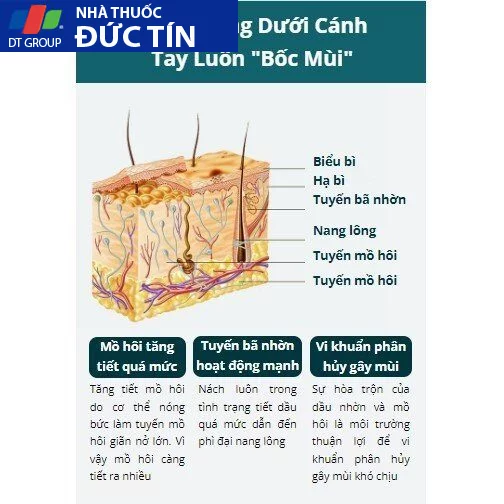 Xịt Khử Mùi Hôi Nách Hôi Chân BENU Xịt Ngăn Tiết Mồ Hôi Giúp Khô Thoáng Loại Bỏ Mùi Hôi Nách Hôi Chân Chai 10ml 19 benukhu5