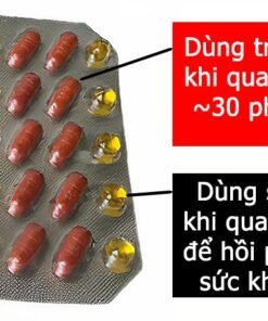 Alternative view of Gold Ant USA chính hãng cường dương kéo dài thời gian - Kiến Vàng Đen Tây Tạng