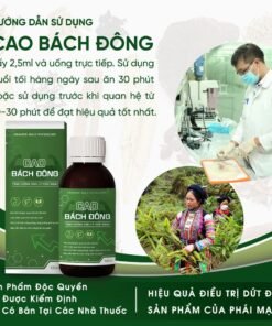 Cao bách đông rừng cúc phương chính hãng 7 caobach1