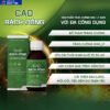 Cao bách đông rừng cúc phương chính hãng
