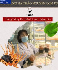 dong trung ha thao cao cap nguyen con tang cuong sinh ly boi bo co the 5g 2