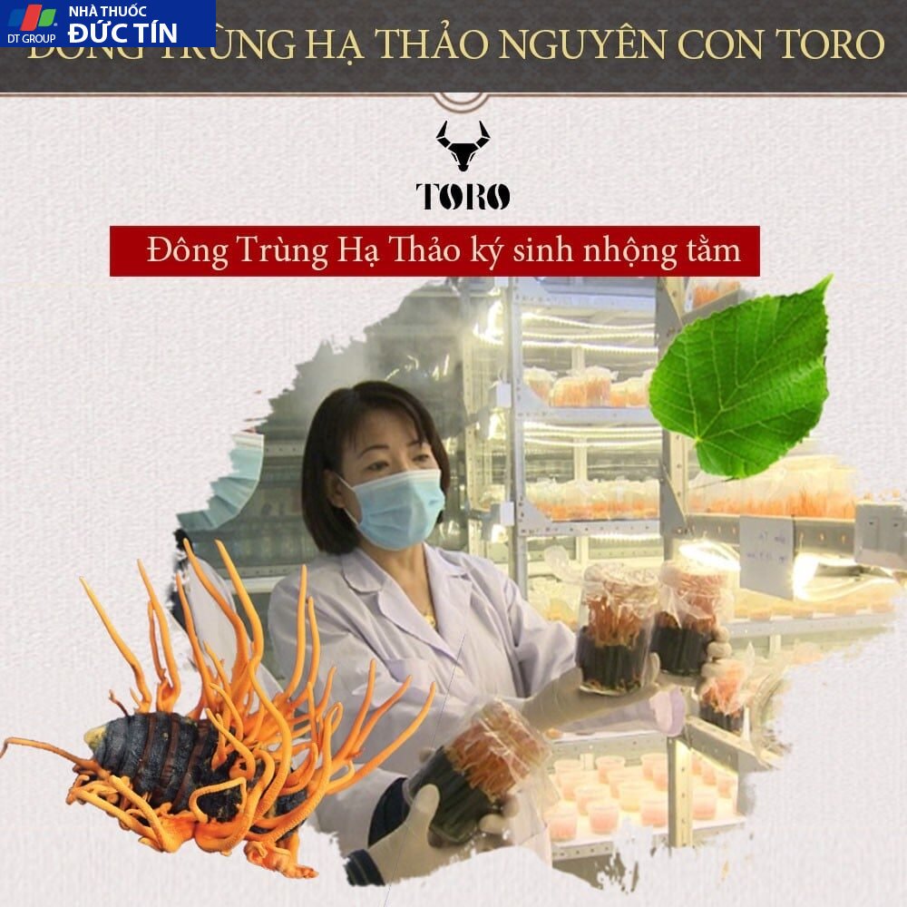 dong trung ha thao cao cap nguyen con tang cuong sinh ly boi bo co the 5g 2