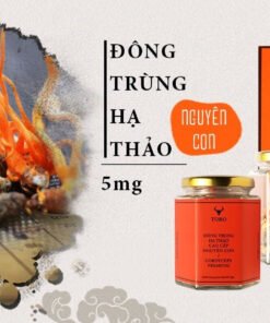 dong trung ha thao nguyen con 06 c9f446011e13415f910448531bd2ce8c