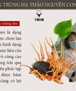 dong trung ha thao nguyen con 07 d9a0155969414f86bda7e27dd31f23ed