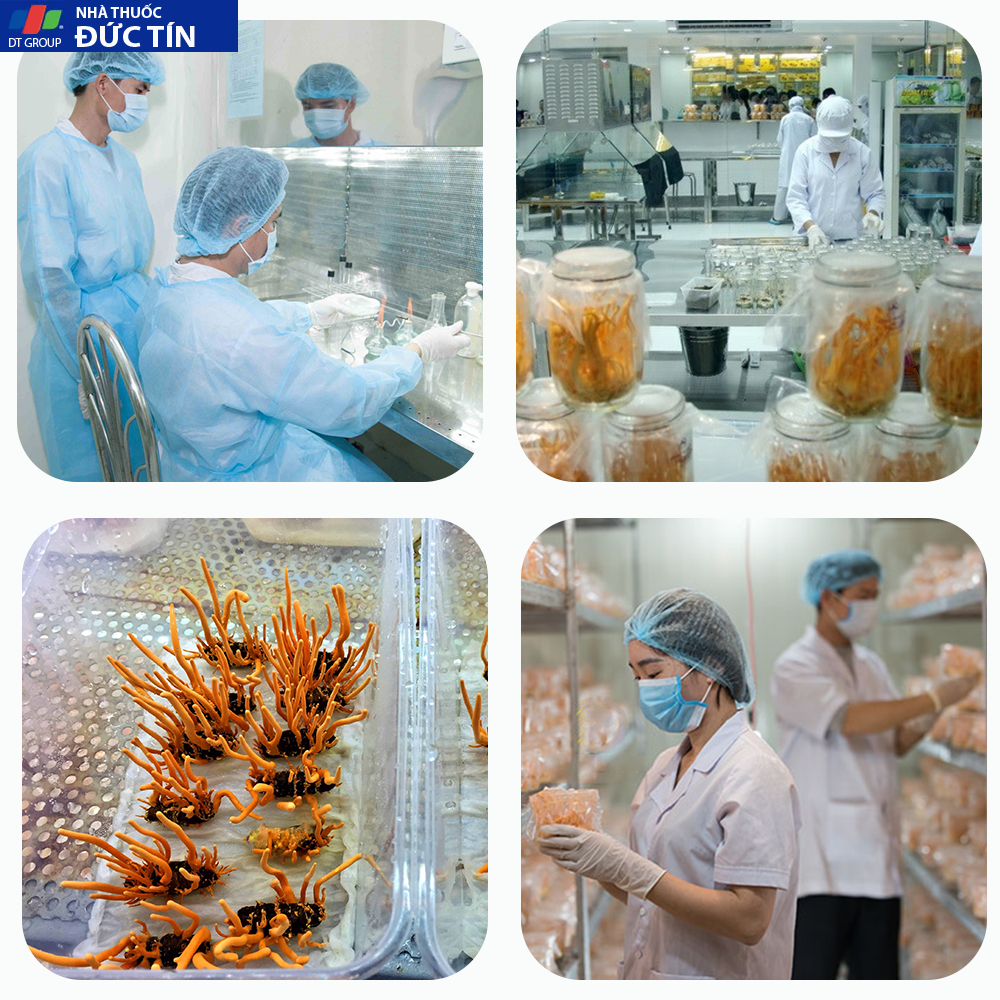 Đông trùng hạ thảo Toro - Sấy thăng hoa nguyên sợi cải thiện chức năng sinh lý - Hũ 10g 25 dong trung ha thao toro say thang hoa nguyen soi cai thien chuc nang sinh ly hu 10g 1