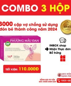 Alternative view of COMBO 3 HỘP PHƯỢNG MẪU ĐAN 40 viên - Bổ trứng, dày niêm mạc, điều hòa kinh nguyệt, tăng khả năng thụ thai