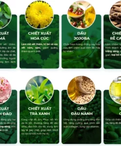 thanh phan bo tri nam dara.jpg