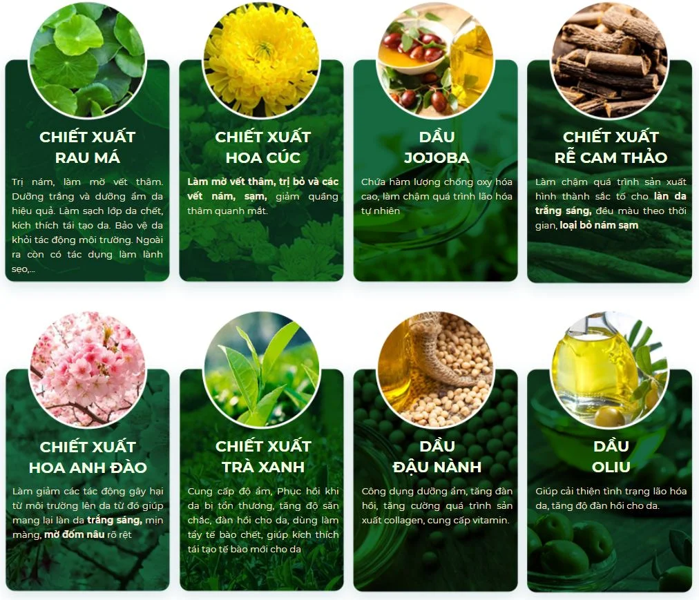 Bộ trị nám Dara bộ mỹ phẩm dưỡng da cao cấp 20 thanh phan bo tri nam dara.jpg