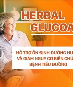 Alternative view of Herbal Glucoactive Hỗ Trợ Điều Trị Tiểu Đường | Hộp 30 Viên