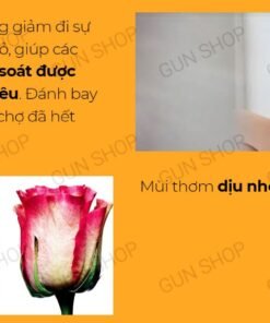 2 8eef15bcca4d4219a2a06df887fae391