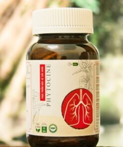 Phytocine – Kháng sinh tự nhiên bảo vệ hệ HÔ HẤP từ XUYÊN TÂM LIÊN