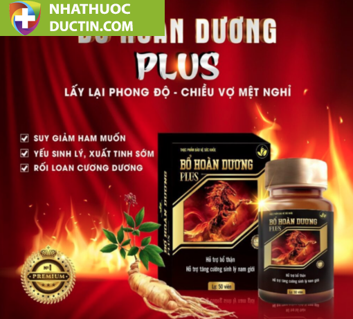 Bổ Hoàn Dương Chính Hãng ( Mẫu Mới X2 Plus) 33 bo hoan duong co tot khong 510x461 1