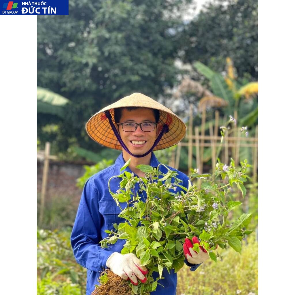 Tinh Chất Hoa Ngũ Sắc Lê Minh Anh 10ml Giảm Tình Trạng Xoang, Mũi Dị Ứng 9 cutlon2