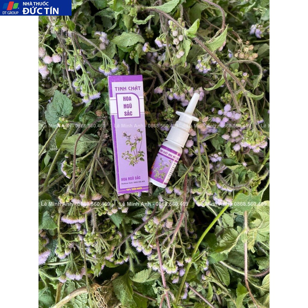 Tinh Chất Hoa Ngũ Sắc Lê Minh Anh 10ml Giảm Tình Trạng Xoang, Mũi Dị Ứng 8 cutlon3