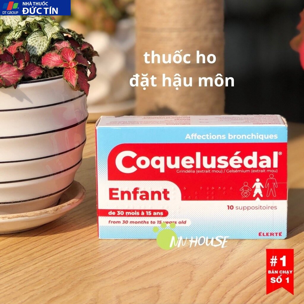 Ho nhét HM Coquelusedal hàng Pháp 10v từ thảo dược an toàn cho bé, baby, trẻ em dưới 15 tuổi - NN HOUSE 12 nhetdit1