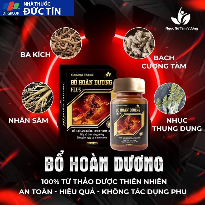 Bổ Hoàn Dương Plus Chính Hãng - Tăng Cường Sinh Lý Nam 17 thanh phan chinh bo hoan duong plus