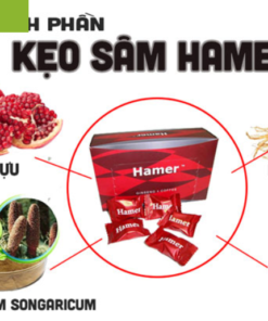 thanh phan hamer