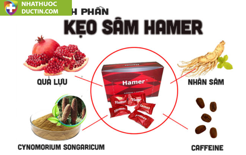 thanh phan hamer