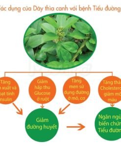 Sữa non thảo dược Mamigo Diabetes Platinum 800gr 19 Tac dung DTC