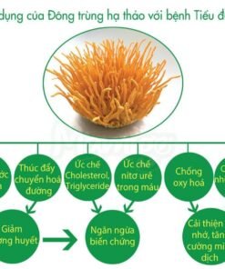 Sữa non thảo dược Mamigo Diabetes Platinum 800gr 20 Tac dung DTHT