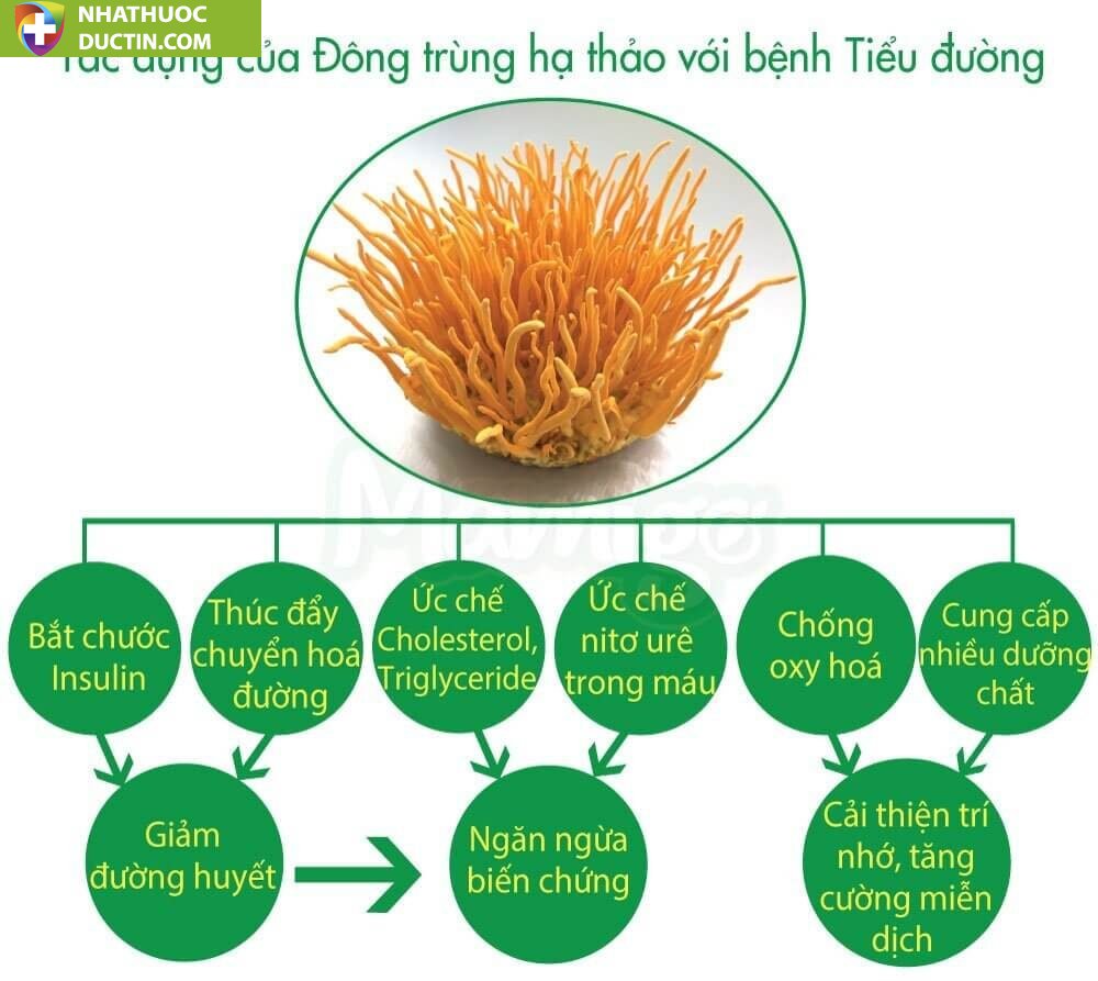 Sữa non thảo dược Mamigo Diabetes Platinum 800gr 27 Tac dung DTHT