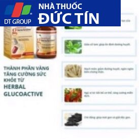 Viên uống Herbal Gluco Active , Herbal GlucoActive - hộp 30 viên 29 chinhhang6